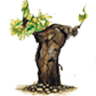 Navarrsotillo Biodynamic and Organic Wines
