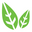 NAVESU - Naturally Vegan Supermarket