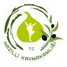 Nazilli Kaymakamlığı