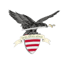 Special Service for National Security