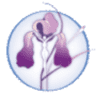 Women's Birth and Wellness Boutique