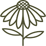 National College of Traditional Medicine