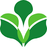 Essence Health Products