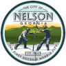 Nelson City Hall