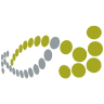 neoSolar GmbH