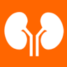 Nephrologie Dresden