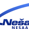 Nesa-Auto