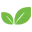 Neslidogal.com
