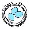 The Nest Psychotherapy