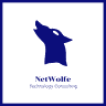 NetWolfe Technology Consulting