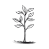 Neu Gartengestaltung & Biotopbau