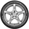 Neumáticos Duque