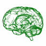 Neurologie MuDr. Jana Letáková