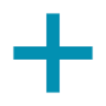 IRCCS Neuromed Mediterranean Neurological Institute