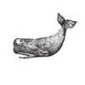 New Bedford Antiques At The Cove