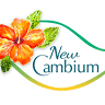 New Cambium