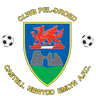 Newcastle Emlyn Football Club