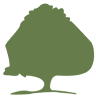 Newcomb Tree Service