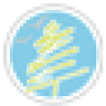 New Hope Dental Care: Daniel J. Petrocella DDS,PA