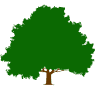 Crystal Springs Park