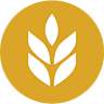 New Life Evangelical Free Church