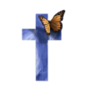 New Life In Christ Ministries