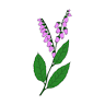 New Life Nursery, Inc.