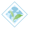 New Life Physicians LLC