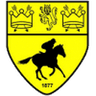 Newmarket Town Football Club