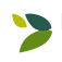 New Pioneer Food Co-op