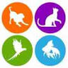 Newport Pets