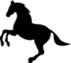New Song Stable