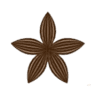 CAIVANO - New Star Com Srl