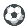 Newtown Association Football Club Ltd