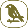 Nieuw Schaijk