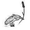 Night Heron Bread