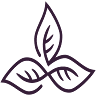 Nimbin Herbs