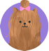 Ninaspet