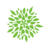 FERTILIZANTES GRUPO NITROMEX S.A. DE C.V.