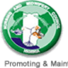 Nursing & Midwifery Council Of Nigeria