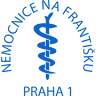 Hospital Na Františku Prague