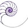 NOA Gallery Inc