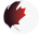 Noaisys Immigration
