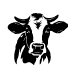 No Cow Cafe Gluten & Dairy Free Bakery