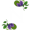 Noi Vietnamese Eatery