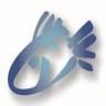 Nolan Seafoods