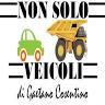 Non Solo Veicoli di Gaetano Cosentino