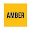Amber Security Systems Ltd