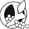 Northern California Foot and Ankle Center Willits - Walter F. D'costa, DPM