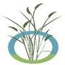 Northeast Vegetation & Mosquito Control